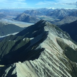 Radio tagged kea update