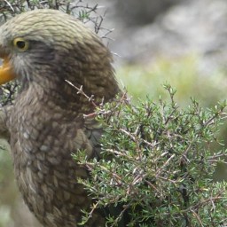 A massive thanks to all those who donated to this project