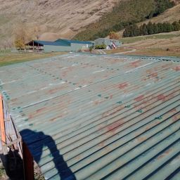 Update: KCT lead removal project