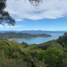 Lead Removal Update: October 2023